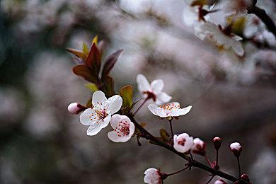 2019年斯宾塞想关闭整个Xbox 全面专注手游